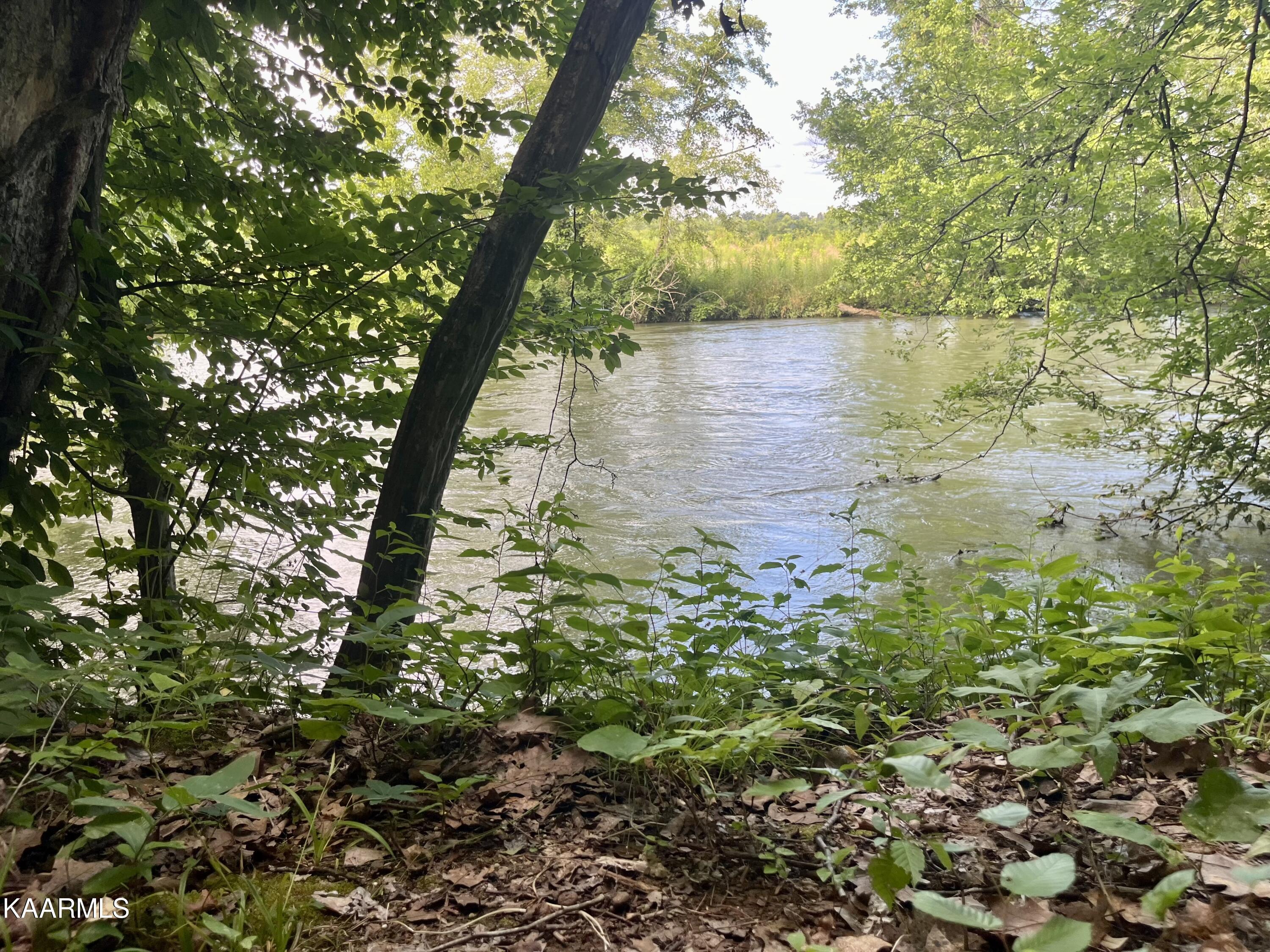 Property Photo:  Island Blvd  TN 37862 