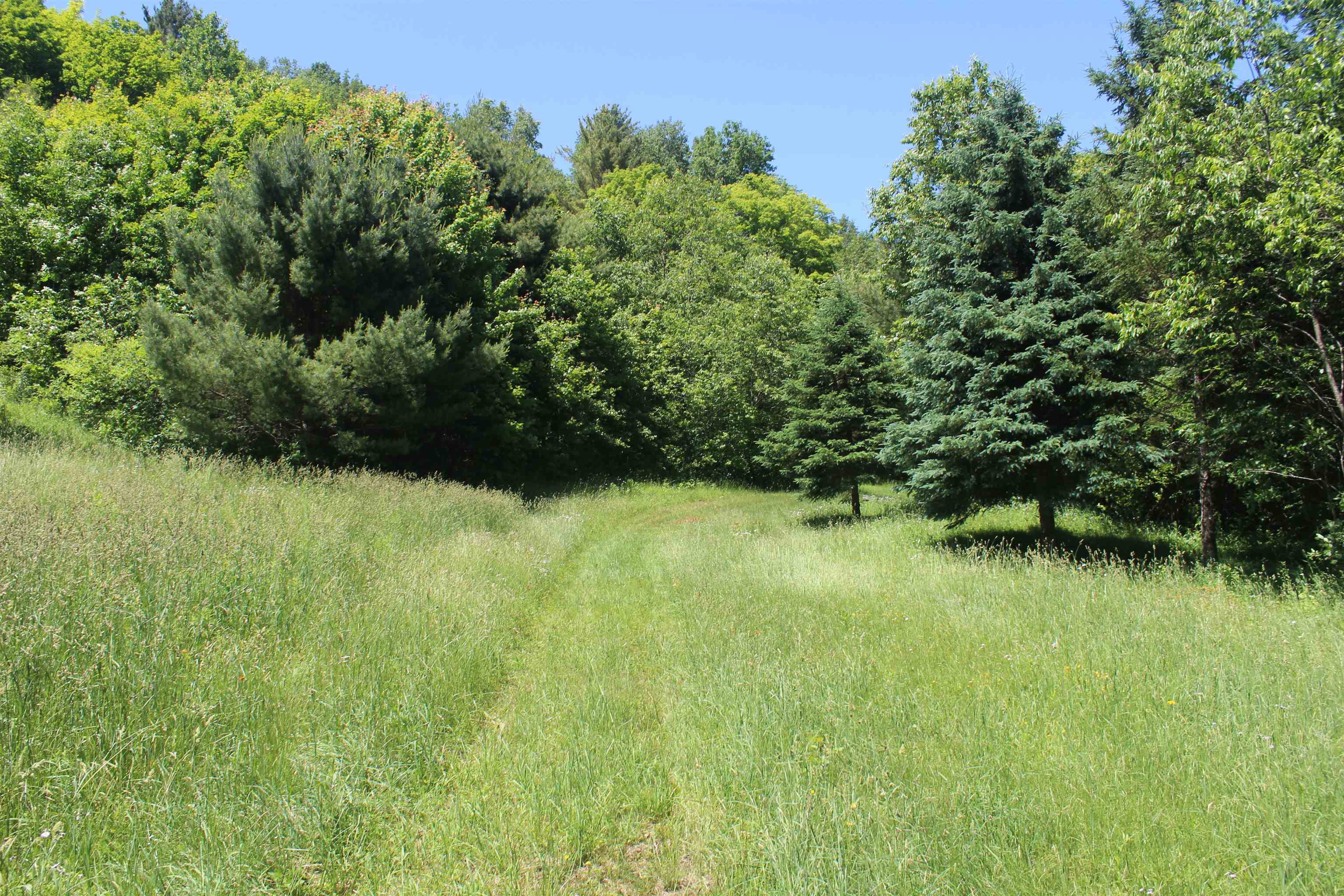 Property Photo: 0 Keiser Pond Road VT 05873