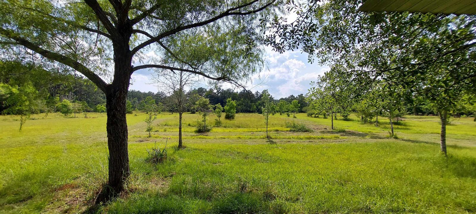 Property Photo:  731 County Road 603  TX 77612 