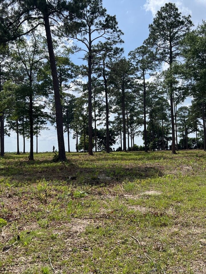 Property Photo:  Lot 20 Woodlake Court  GA 31763 