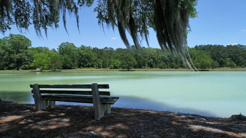 Property Photo:  Lot 6 Hidden Lakes Drive  GA 31721 