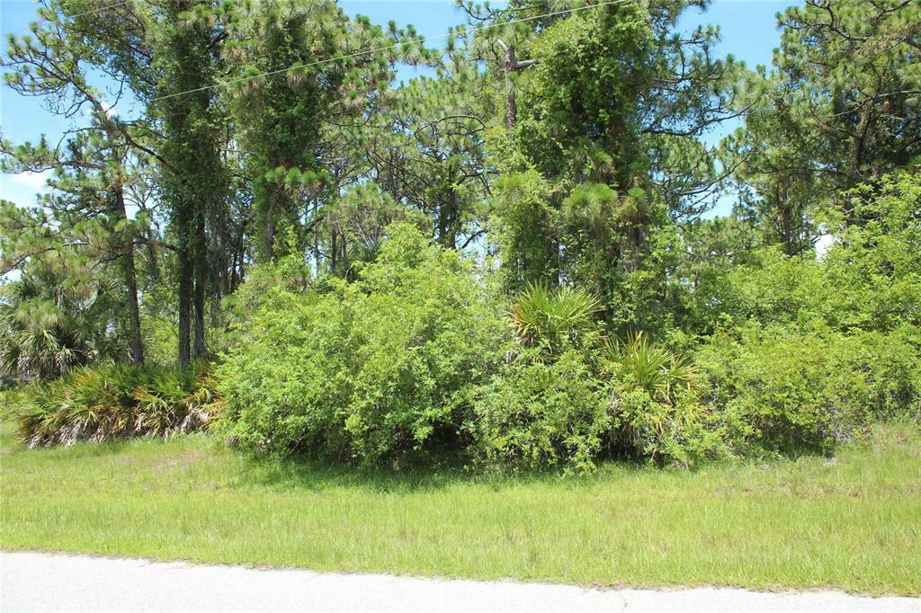 Property Photo:  122 Wahoo Drive  FL 33947 