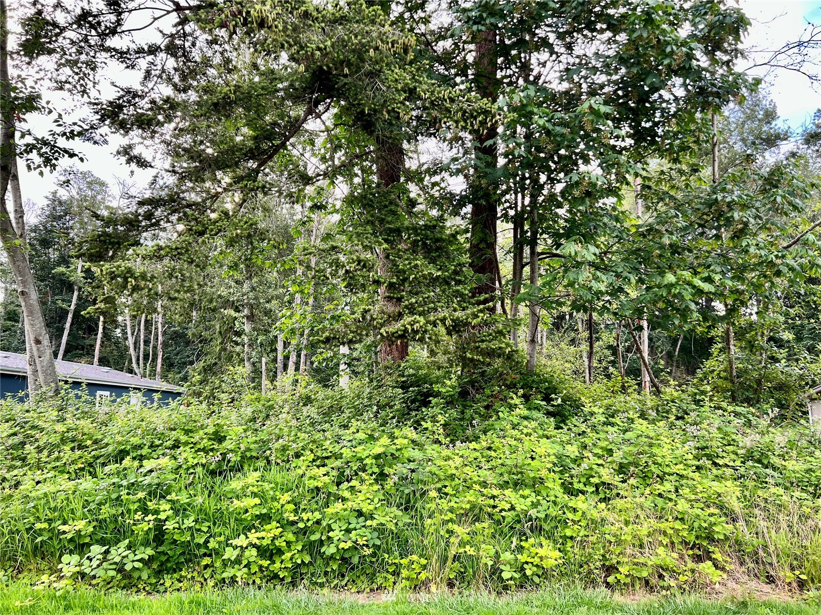 Property Photo: 0 Neptune Circle WA 98248