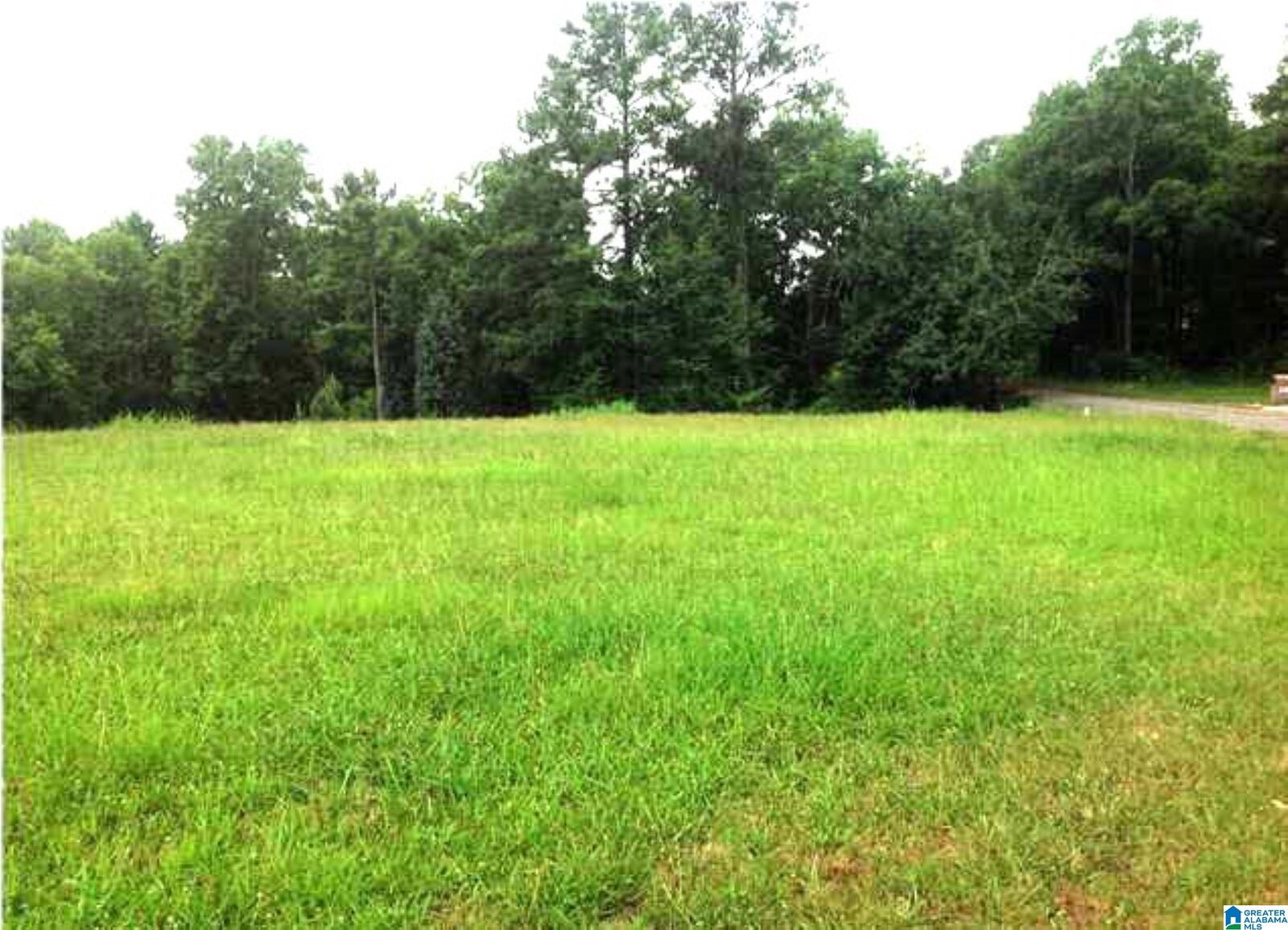 Property Photo: 4851 Mill Springs Circle 1 AL 35223