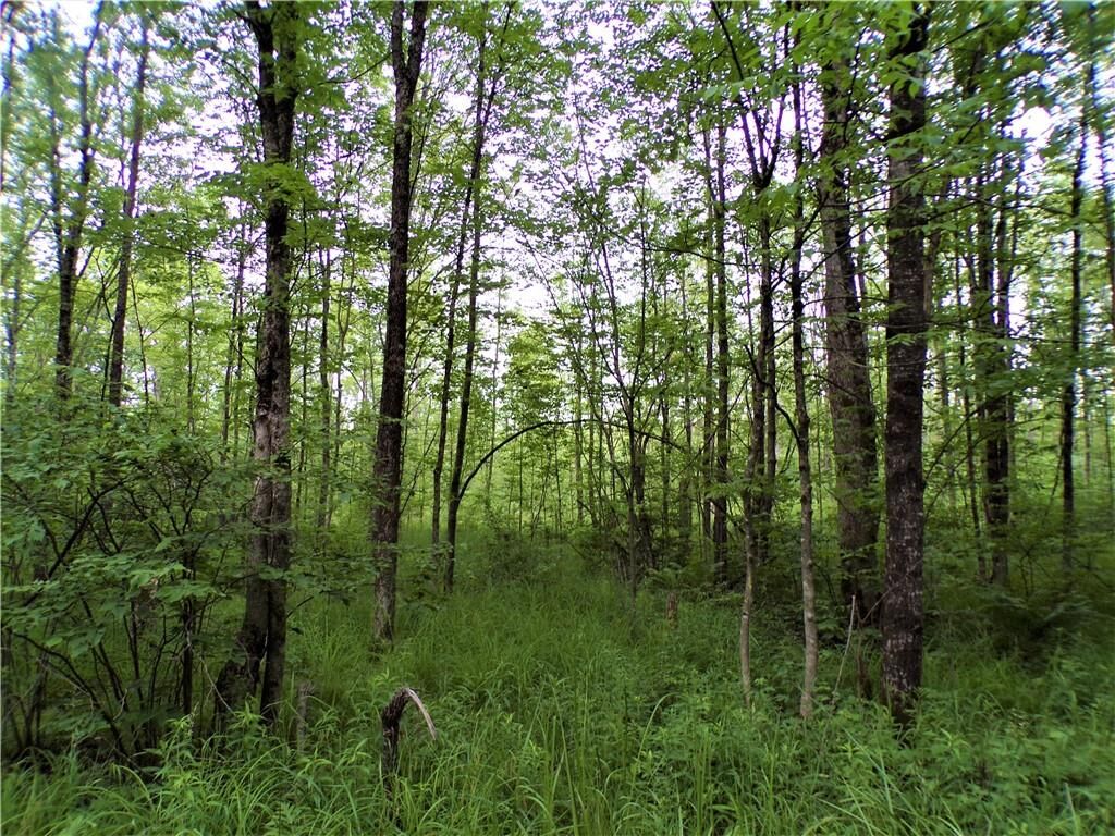 Property Photo:  40 Acres On Landfill Road  WI 54537 