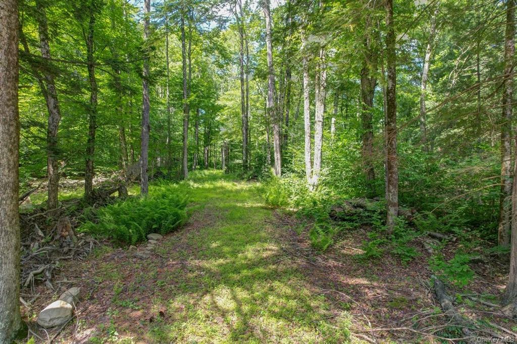 Property Photo:  N/S French Clearing Road  NY 12777 