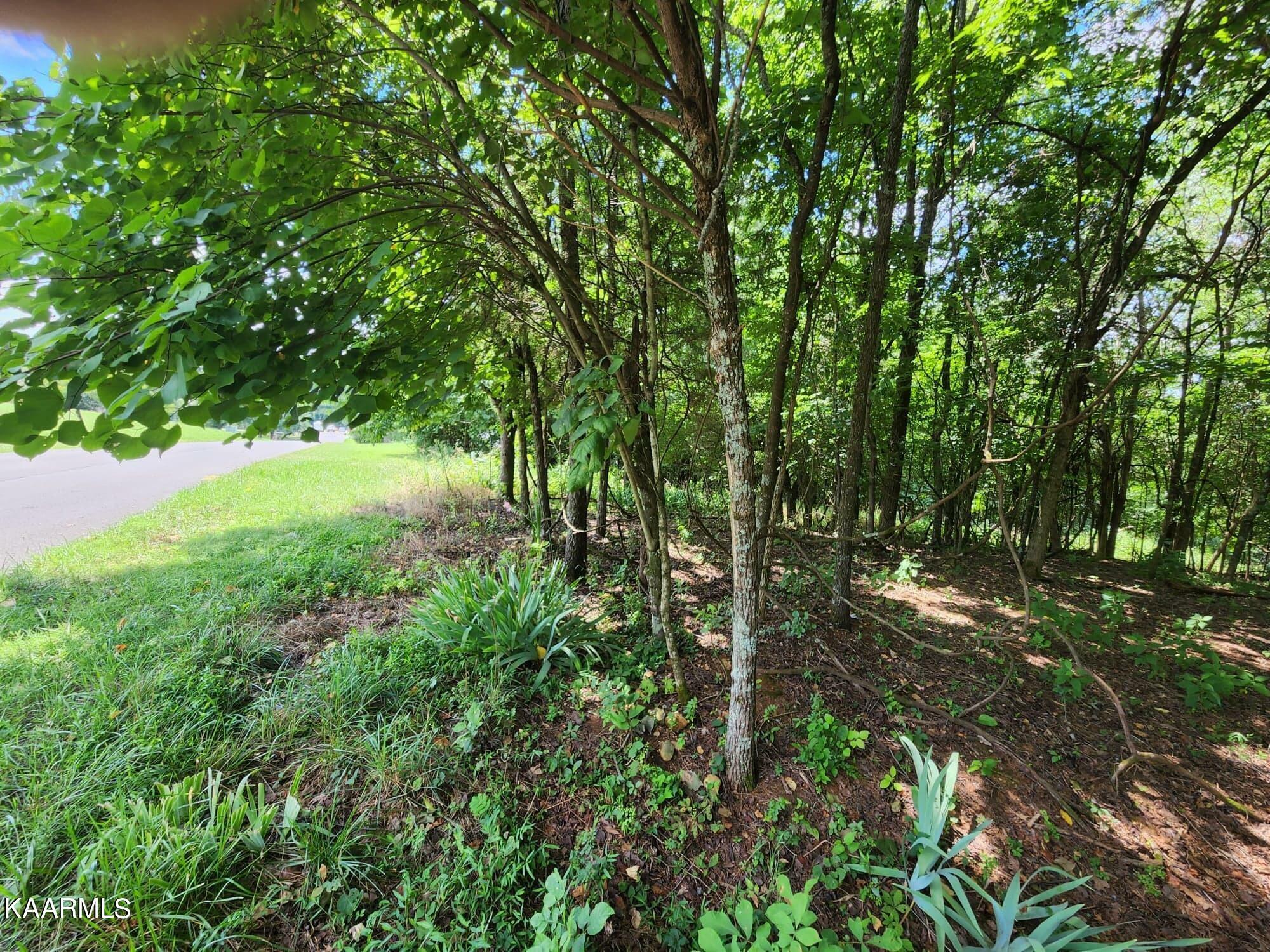 Property Photo: Four M Circle TN 37764