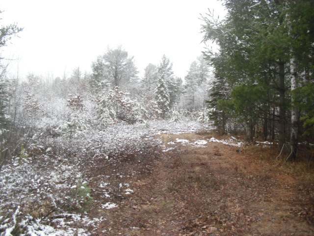 Property Photo:  Lots 7&Amp8 Lee Rd  WI 54487 