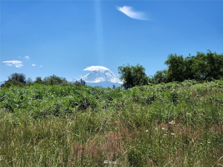 Property Photo: 42900 188th Avenue SE WA 98022