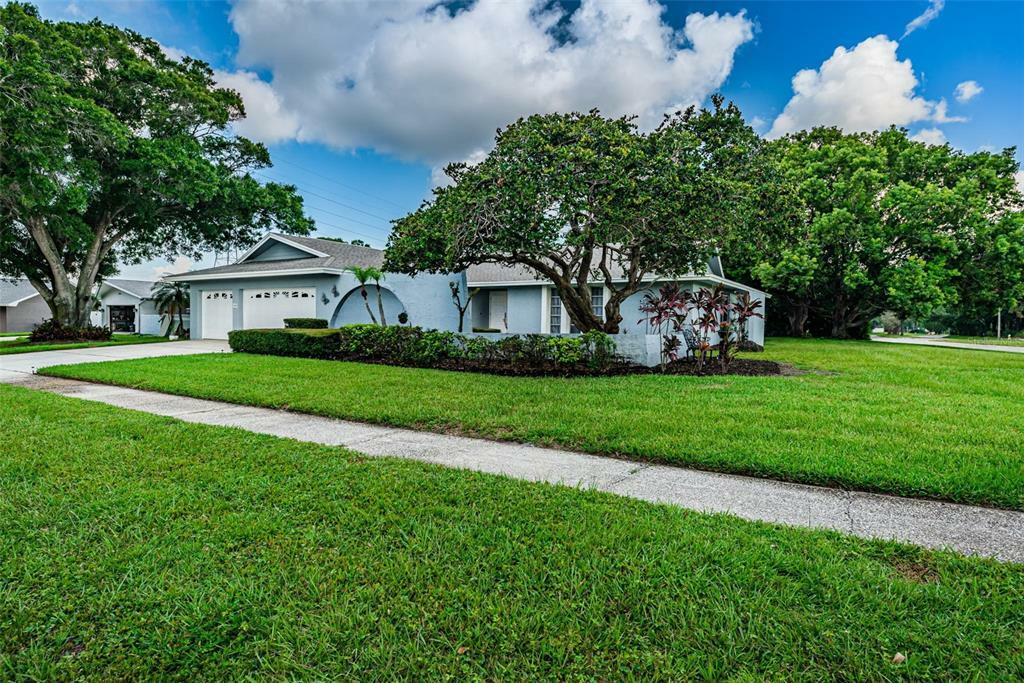 Property Photo:  2646 Firestone Drive  FL 33761 