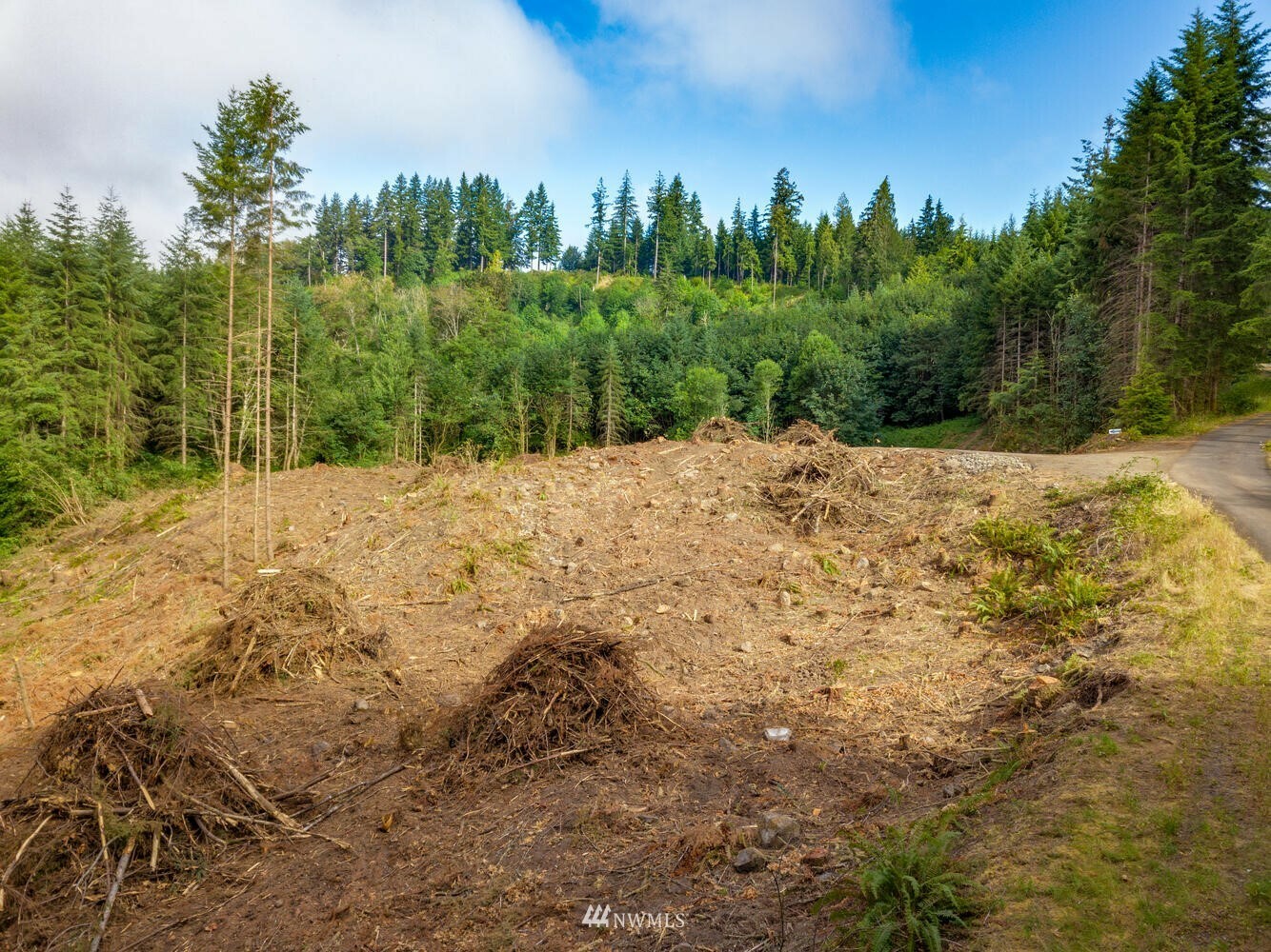 191 Northridge Drive  Longview WA 98632 photo