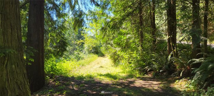 166 Black Bear Lane  Centralia WA 98531 photo