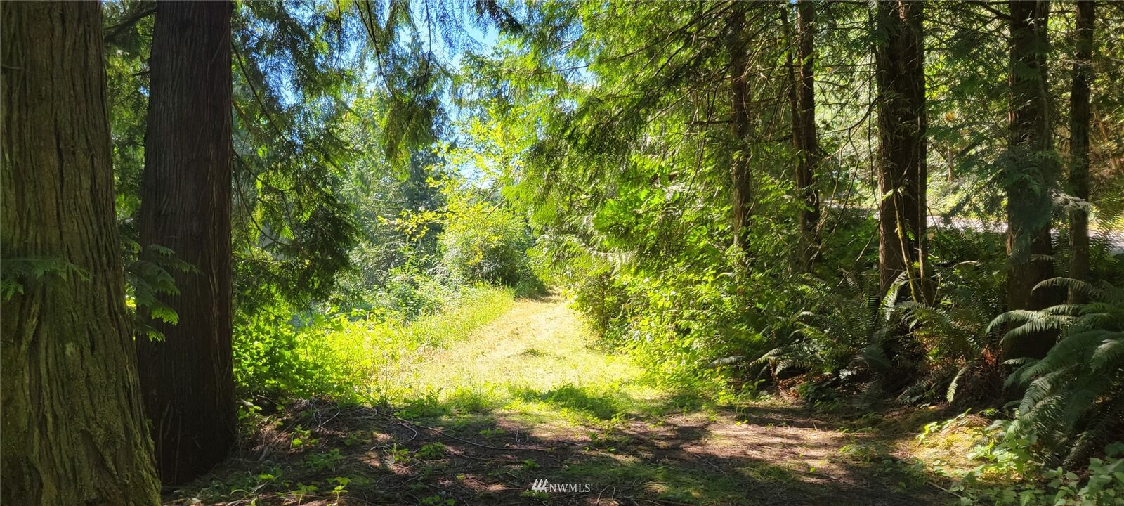 Property Photo: 166 Black Bear Lane WA 98531