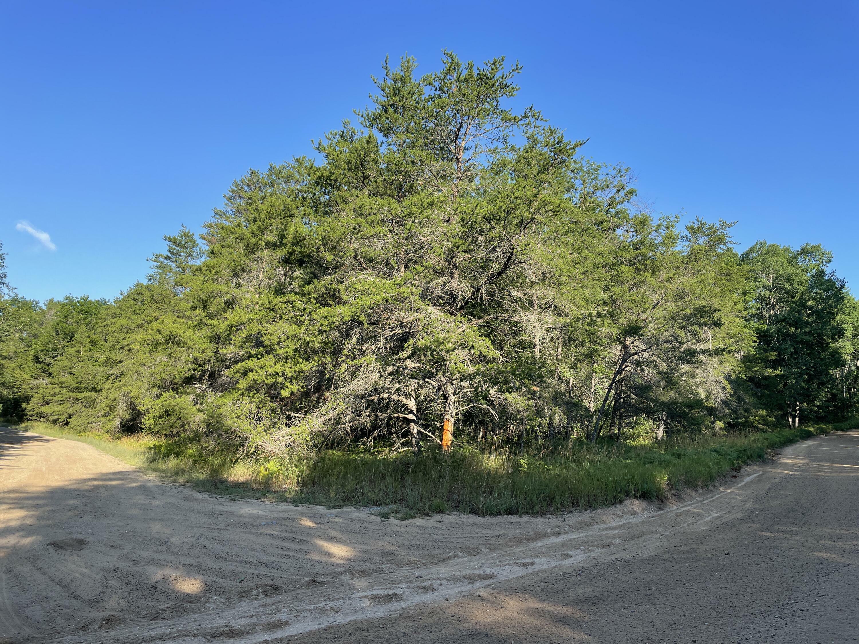 Property Photo: Lot 687 Scenic Way MI 48653