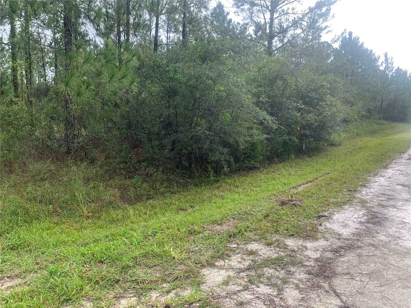 Property Photo:  Tbd Otter Drive Lot 44  FL 33597 