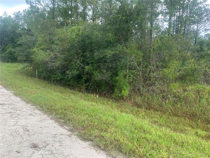 Property Photo: Tbd Otter Drive Lot 44 FL 33597
