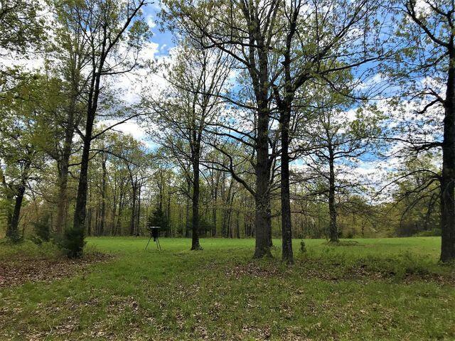 Property Photo: 000 County Road 8990 MO 65775
