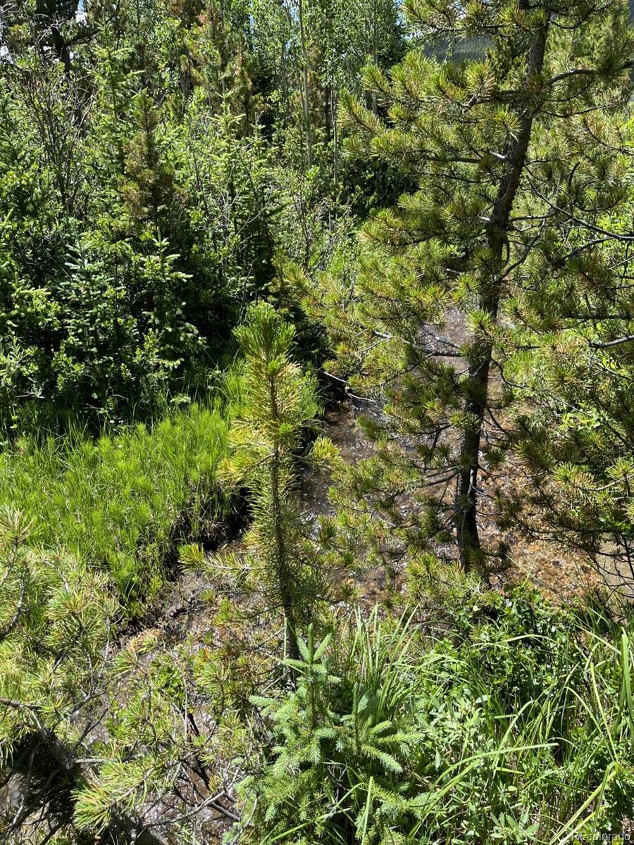 Property Photo: Fall River Road CO 80452