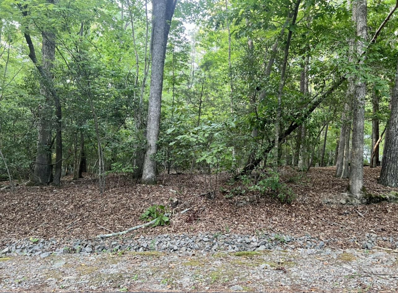 Property Photo:  2065 Falling Stream  NC 27332 