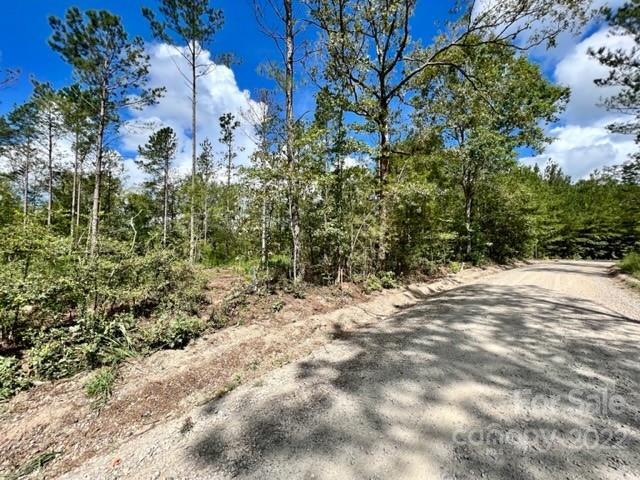 Property Photo:  5-E George Cook Road  SC 29720 