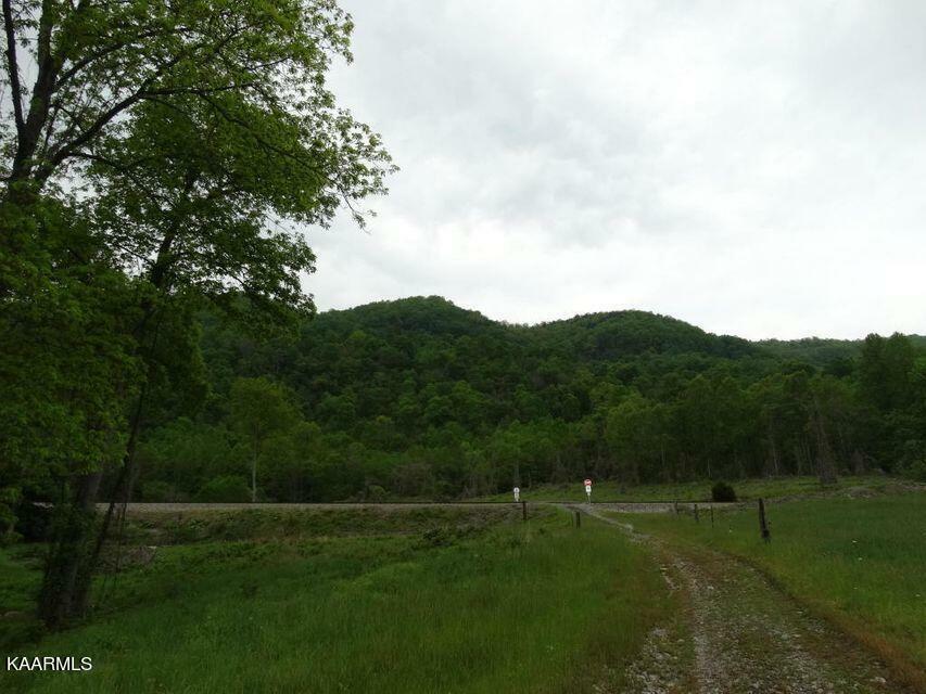 Property Photo:  Hagan Rd  VA 24281 