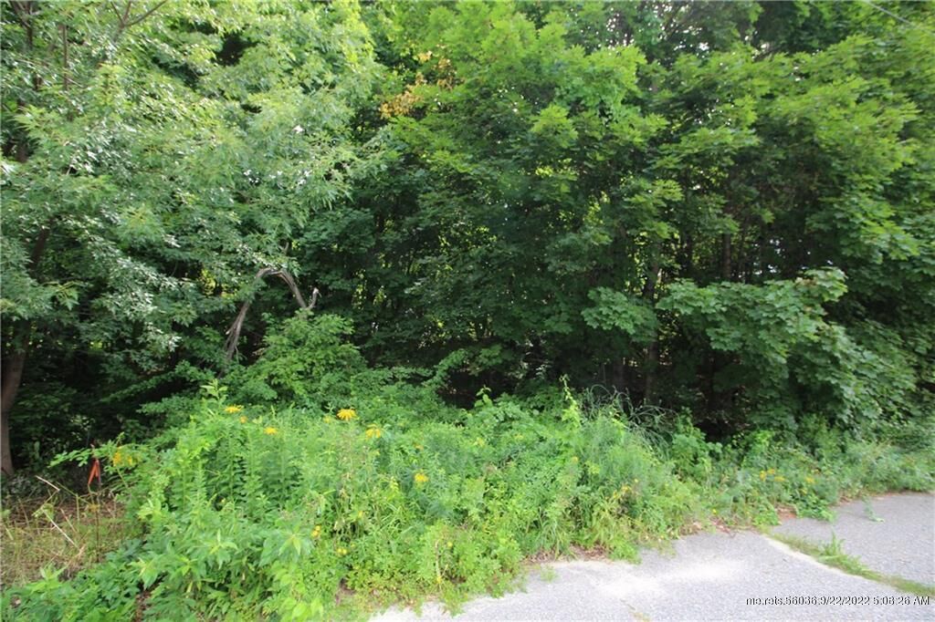 Property Photo:  Lot 17/7 Buttonwood Lane  ME 04240 
