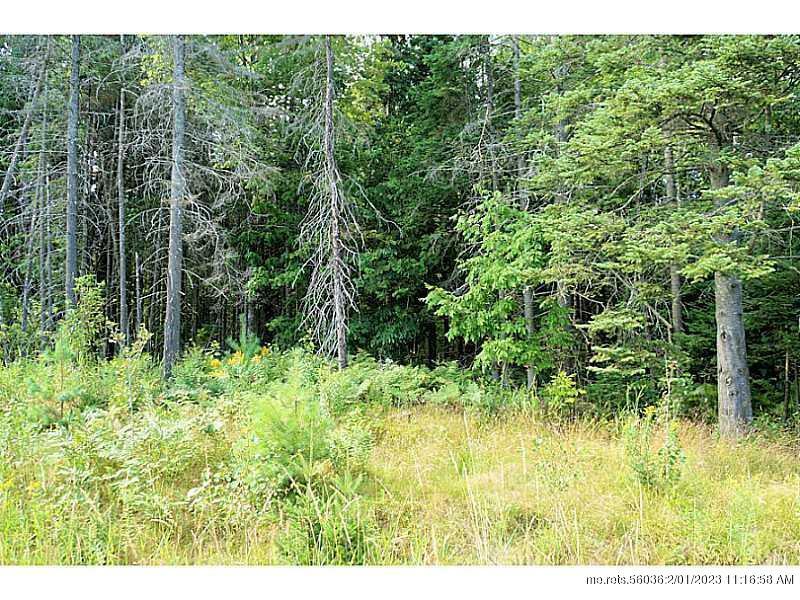 Property Photo:  Lot 79 Canaan Road  ME 04967 