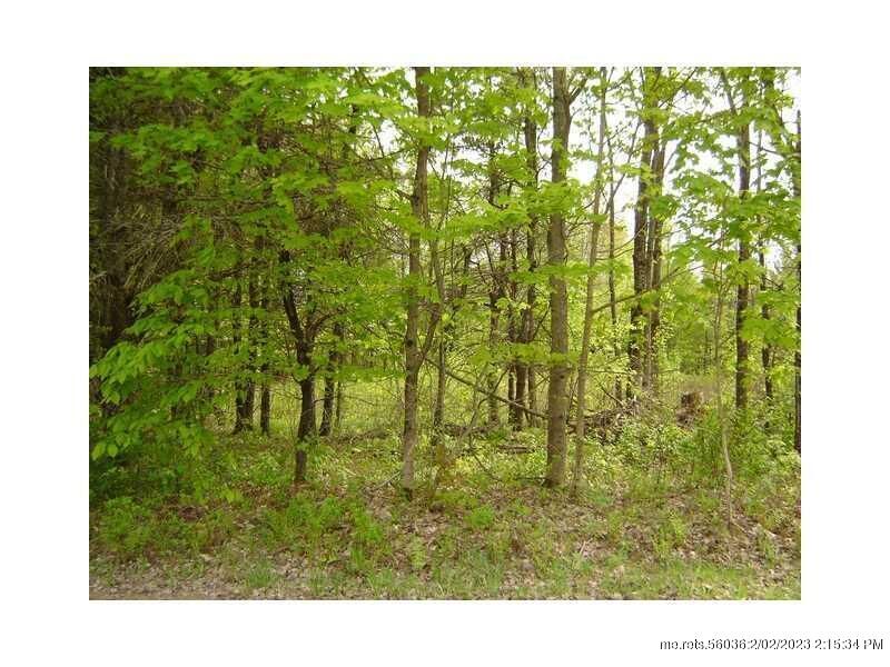 Property Photo:  Lot 4 Cathedral Pines Lane  ME 04917 