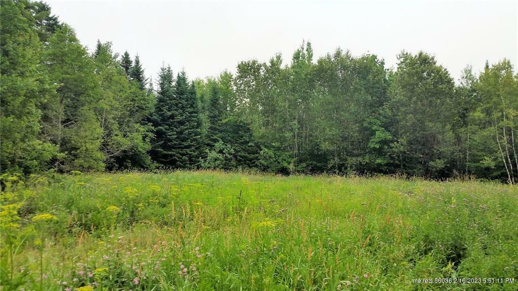 Property Photo:  Map 13 Lot Canaan (Rt2) Road  ME 04967 