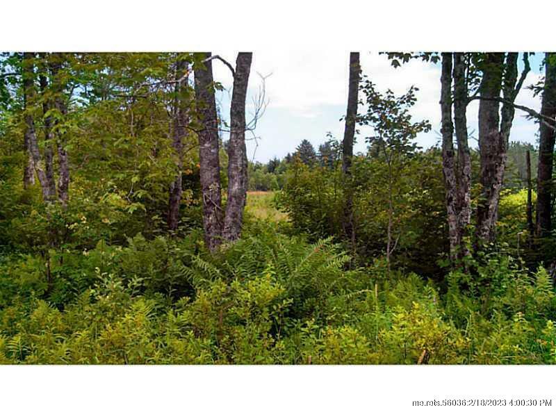 Property Photo:  00 Cushing Road  ME 04563 