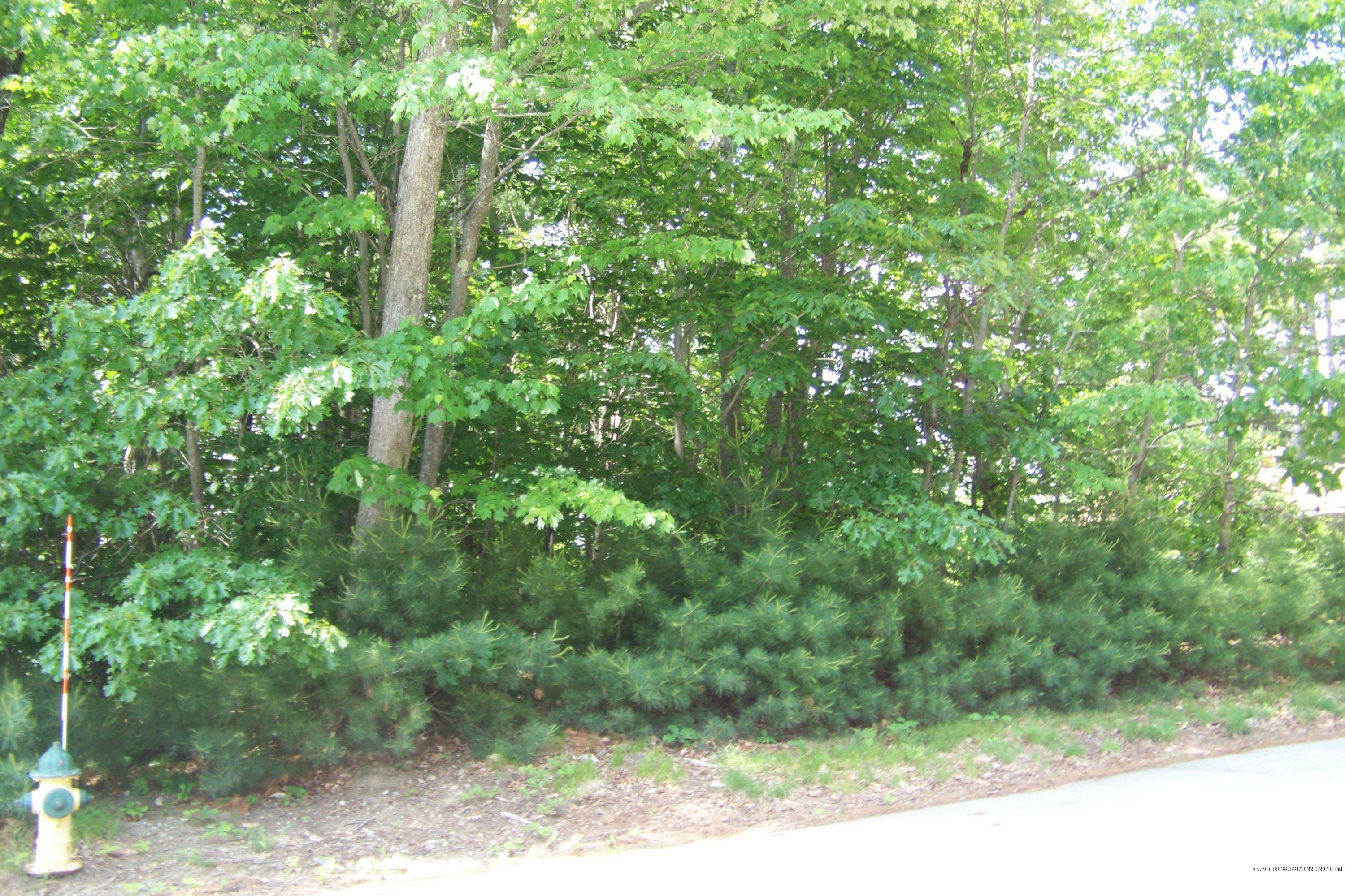 Property Photo: 21 James Avenue ME 04073
