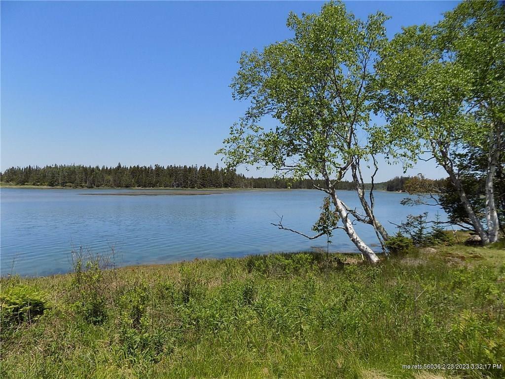 Property Photo:  Lot 89 Johnson Cove Road  ME 04654 