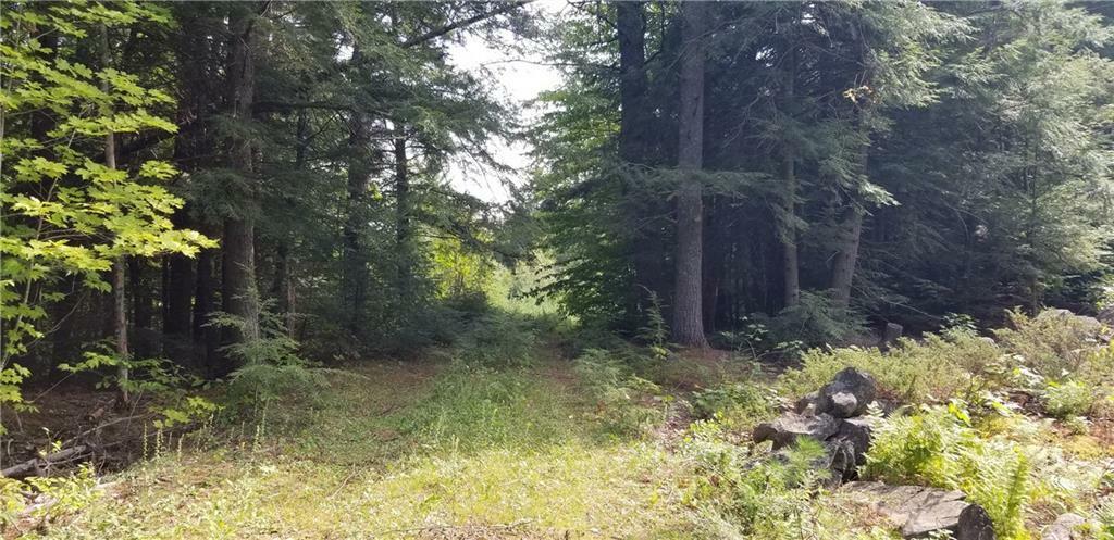 Property Photo:  Lot 33 Fogg Road  ME 04355 