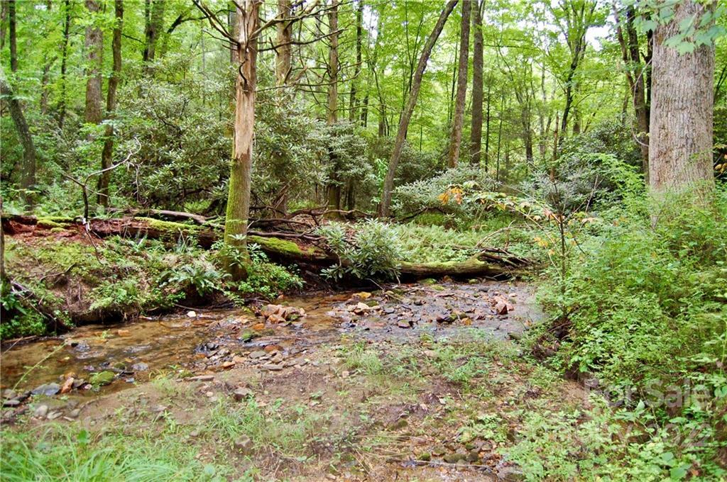 Property Photo:  000 Still Fork Creek Road  NC 28714 