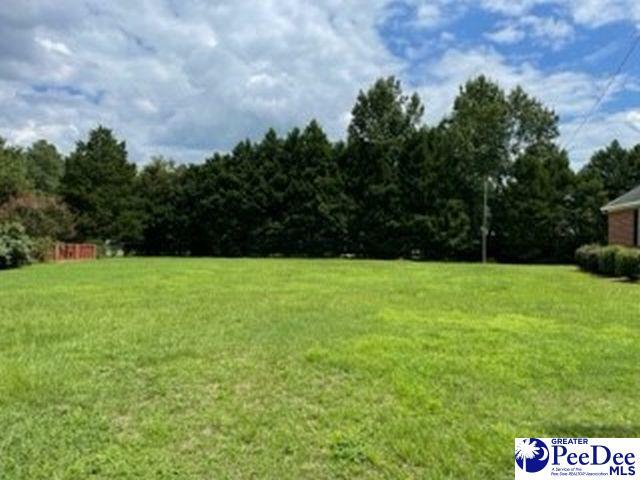 Property Photo:  Lot 42, 4 & 5 Fairlane Drive  SC 29505 