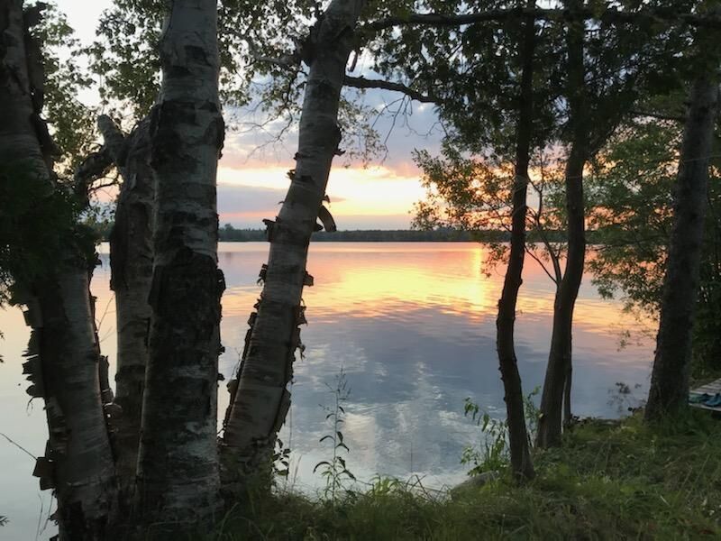 Property Photo:  2725 W Brevort Lake Road  MI 49760 