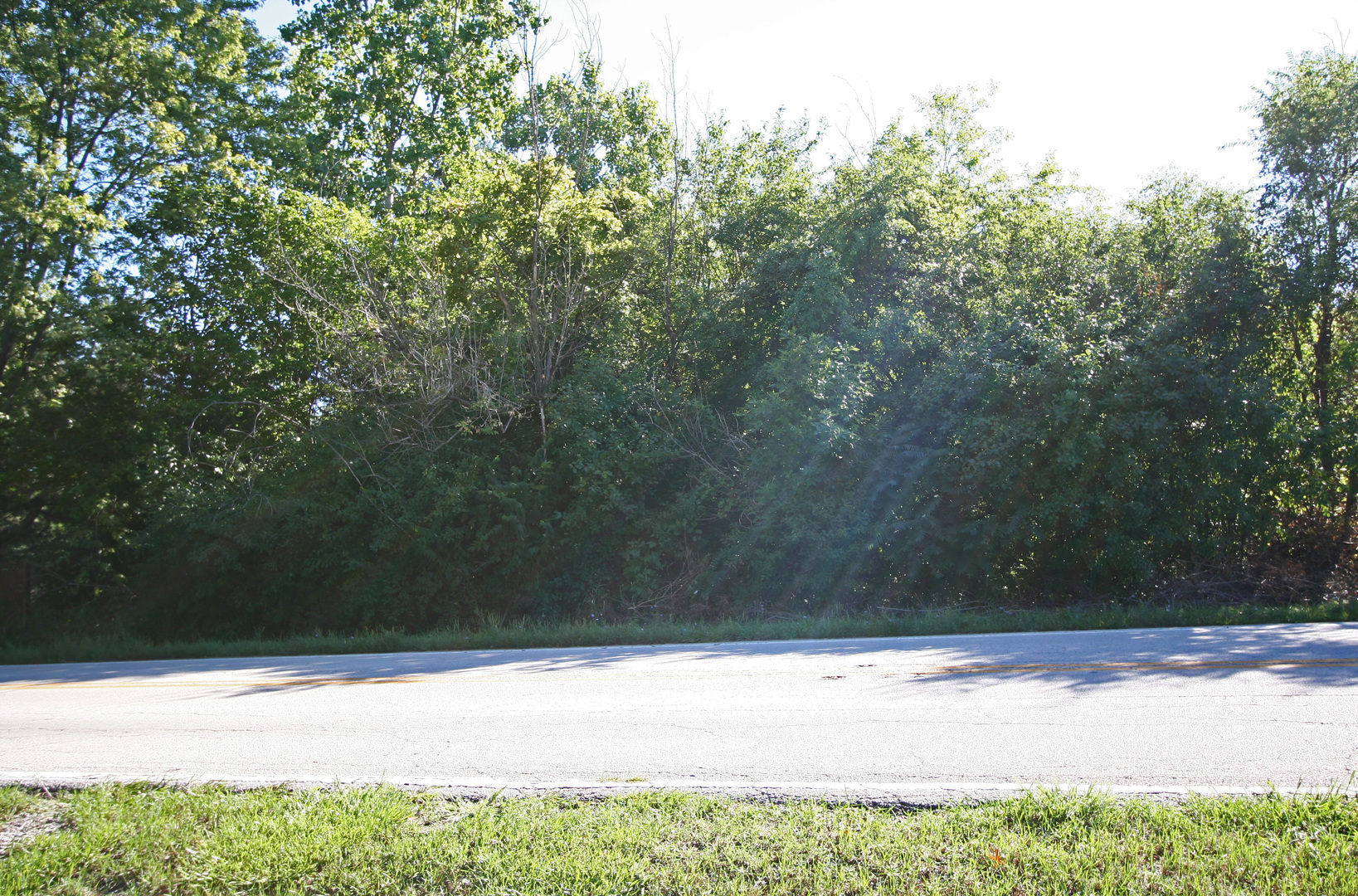 Property Photo:  8240 Clarendon Hills Road  IL 60527 