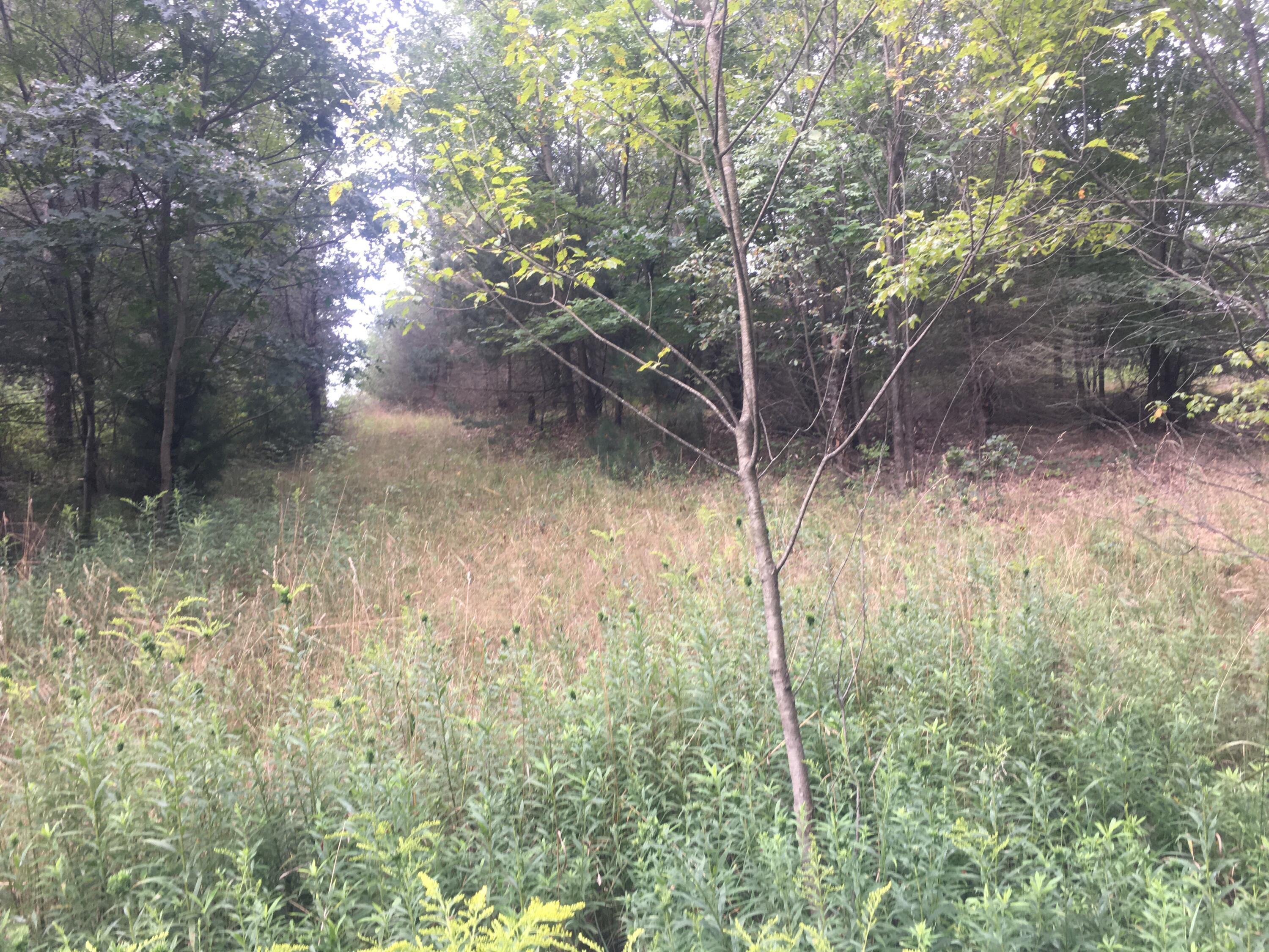 Property Photo: V/L W Pierce Road MI 49455