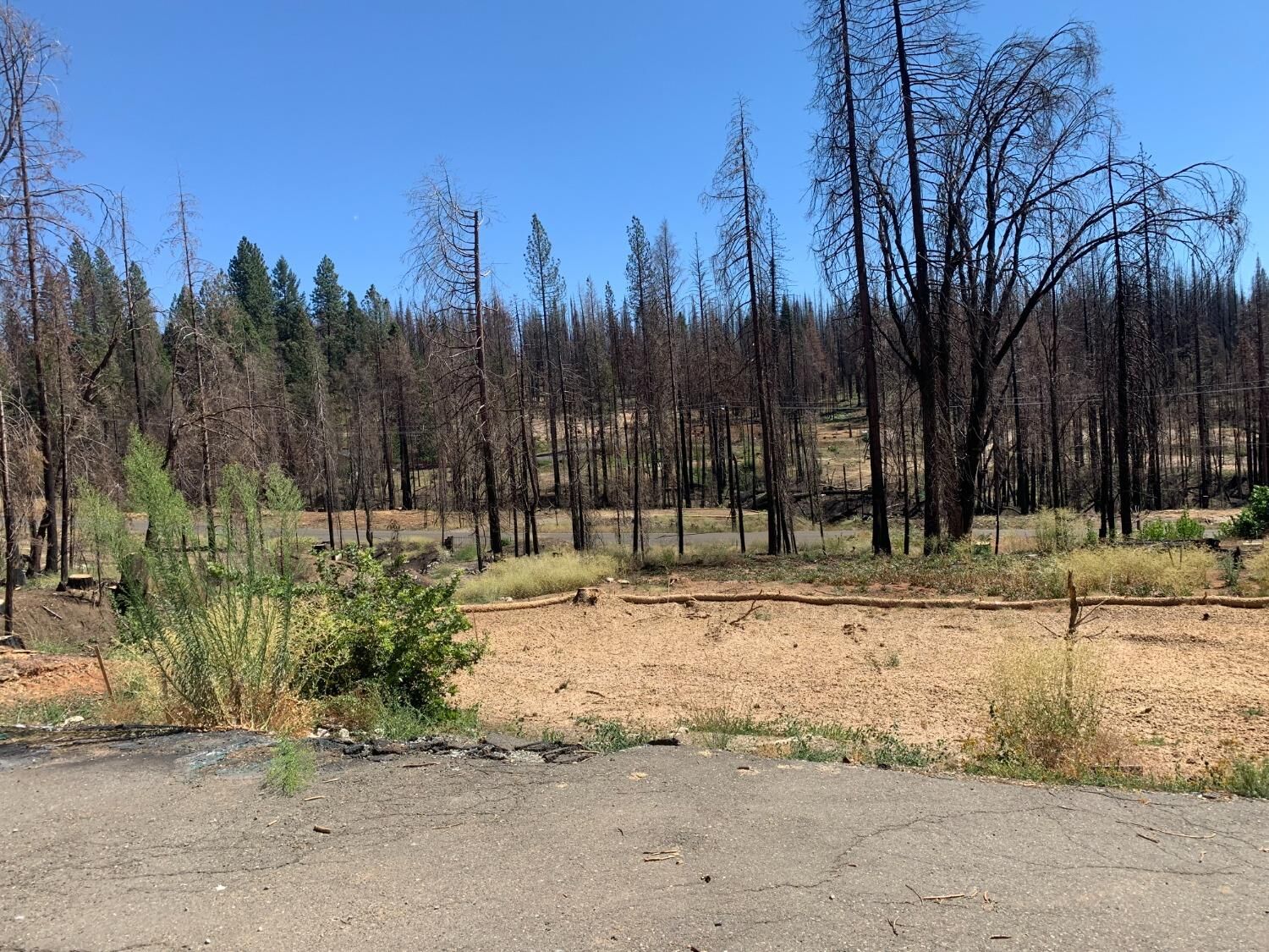 Property Photo:  5116 Deerwood Drive  CA 95636 