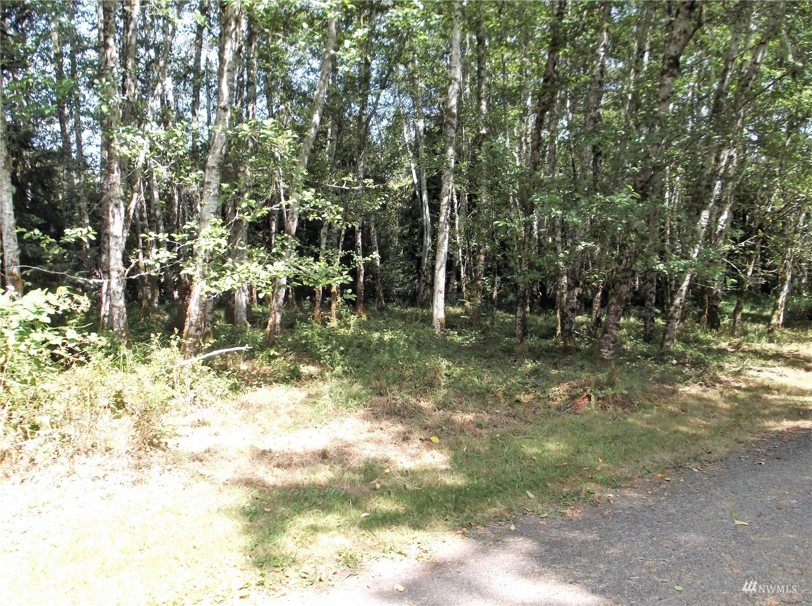 Property Photo:  1 Romano Lane  WA 98590 