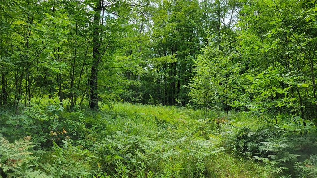 Property Photo:  Lot 2 Csm 7267 Wooddale Road  WI 54817 