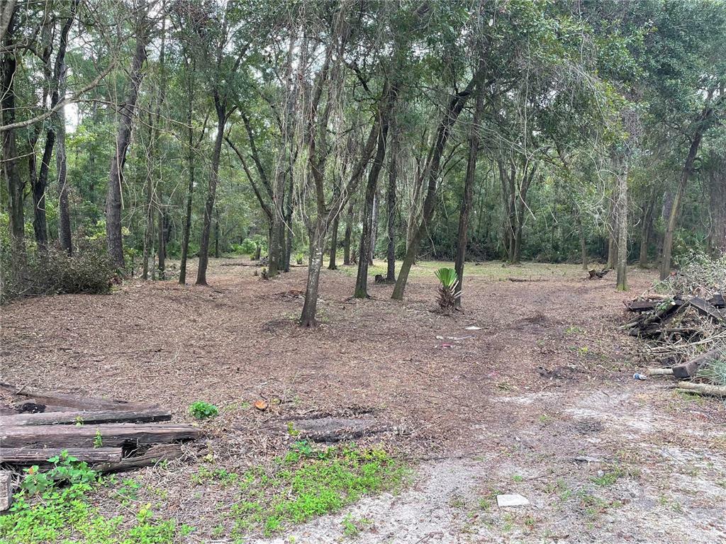 Property Photo: 3103 NE 33rd Avenue FL 32601