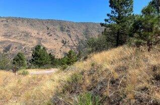 Property Photo:  Lot 51 Peregrine Heights  OR 97601 