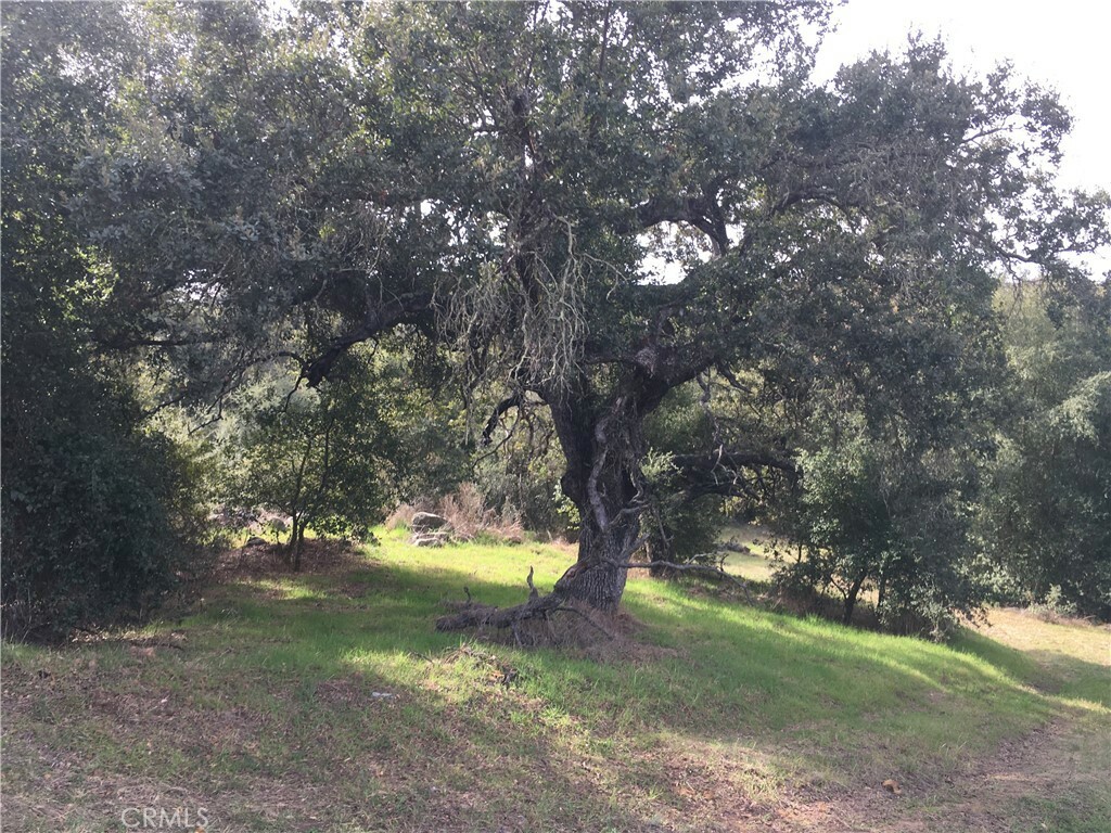 Property Photo:  19879 Tenaja Road  CA 92562 