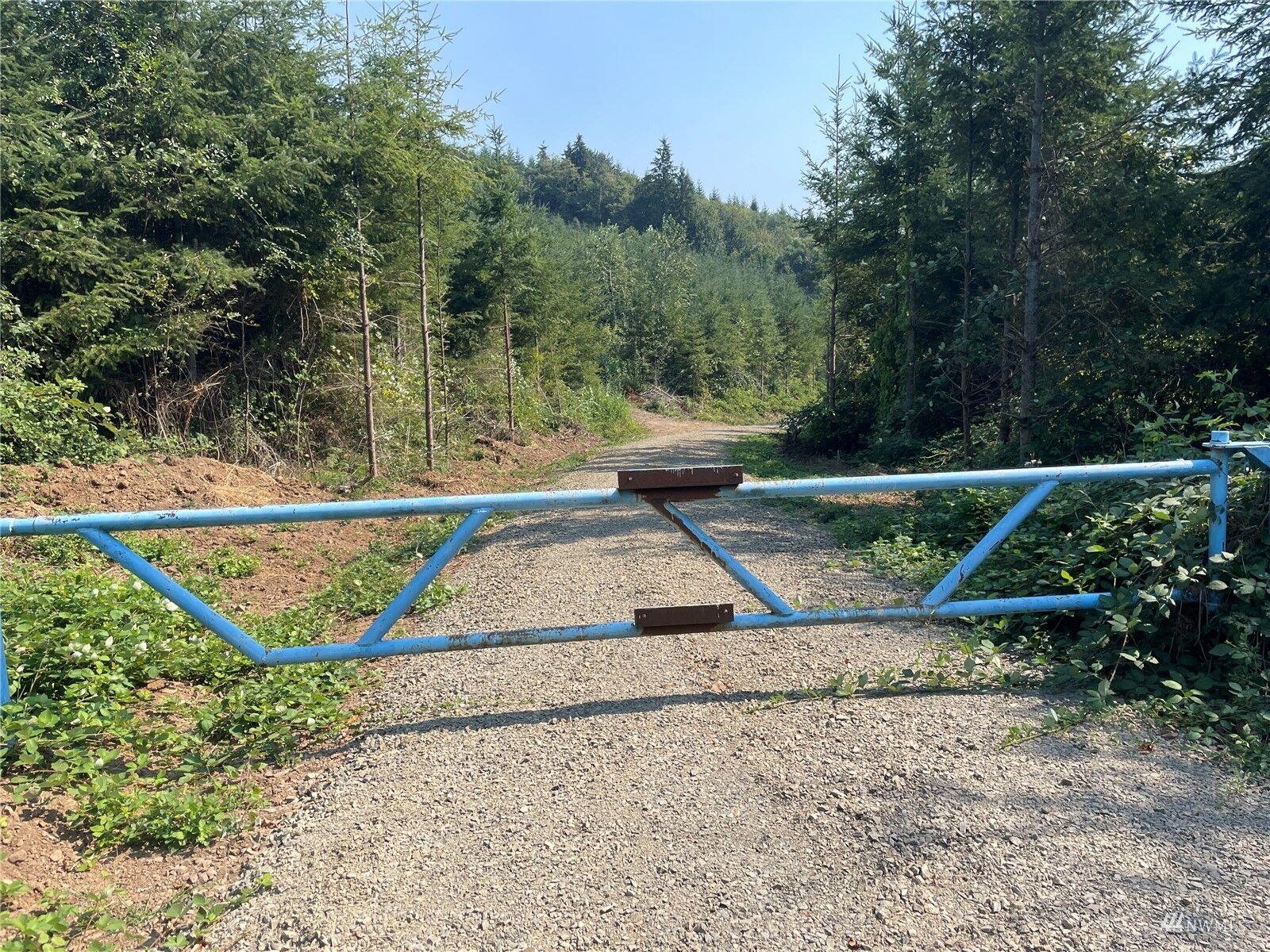 Property Photo:  0 Ostrander Road  WA 98626 