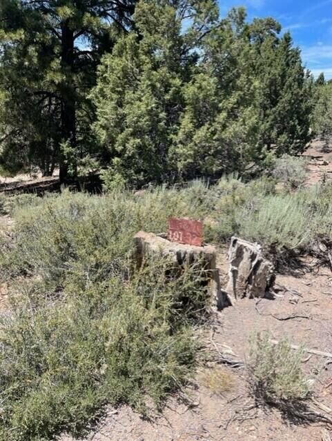 Property Photo: Lot 32 Cree Way UT 84762