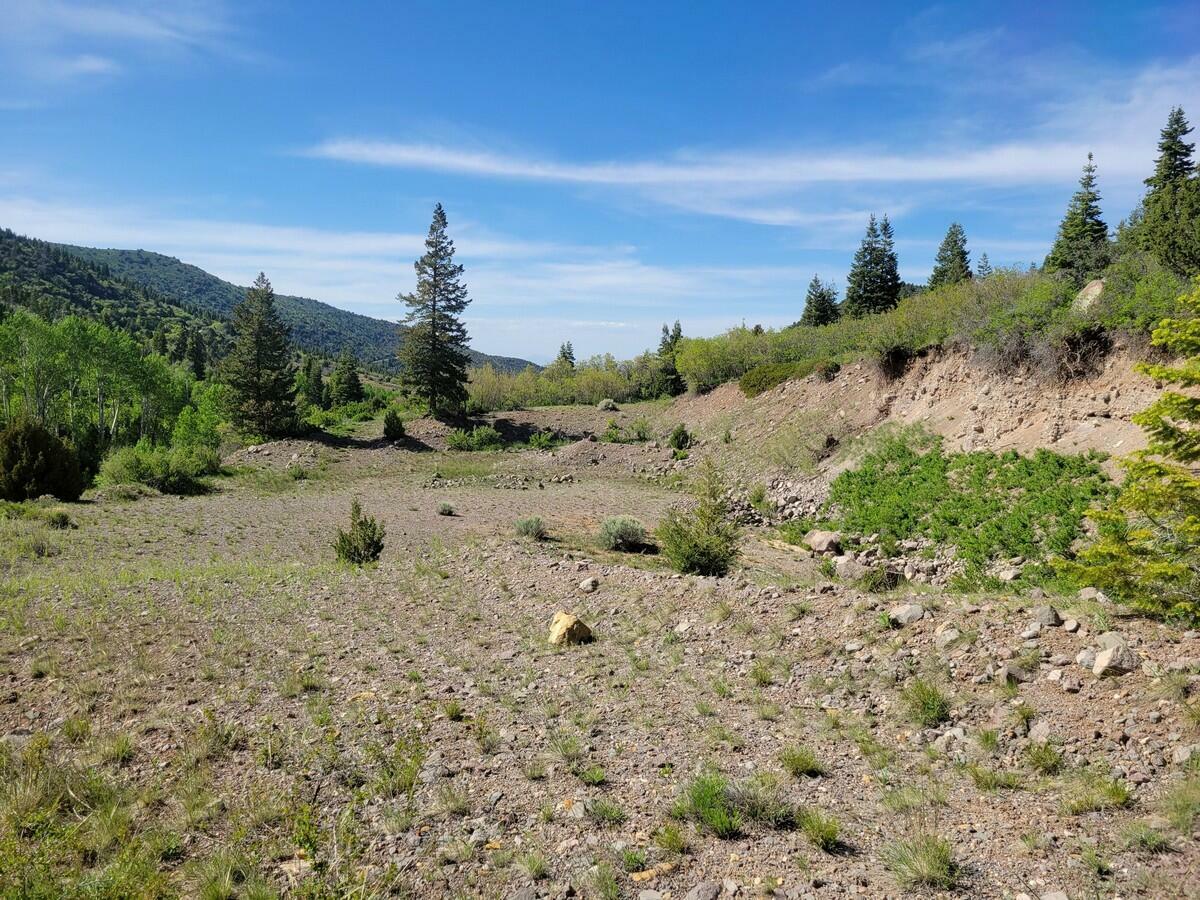 Property Photo:  Braffits Creek Lot 61&Amp62  UT 84719 