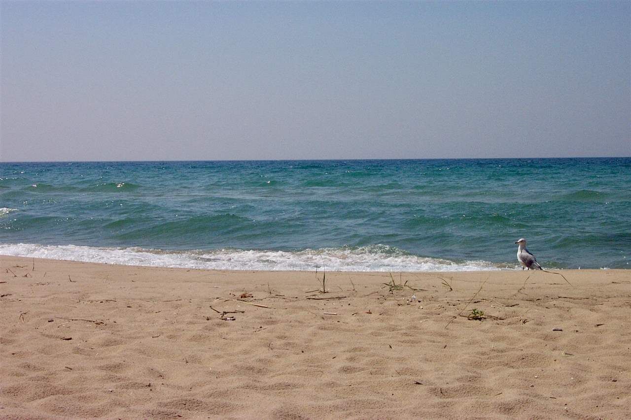 Property Photo:  3908 Island Watch, Lot 15  MI 49740 