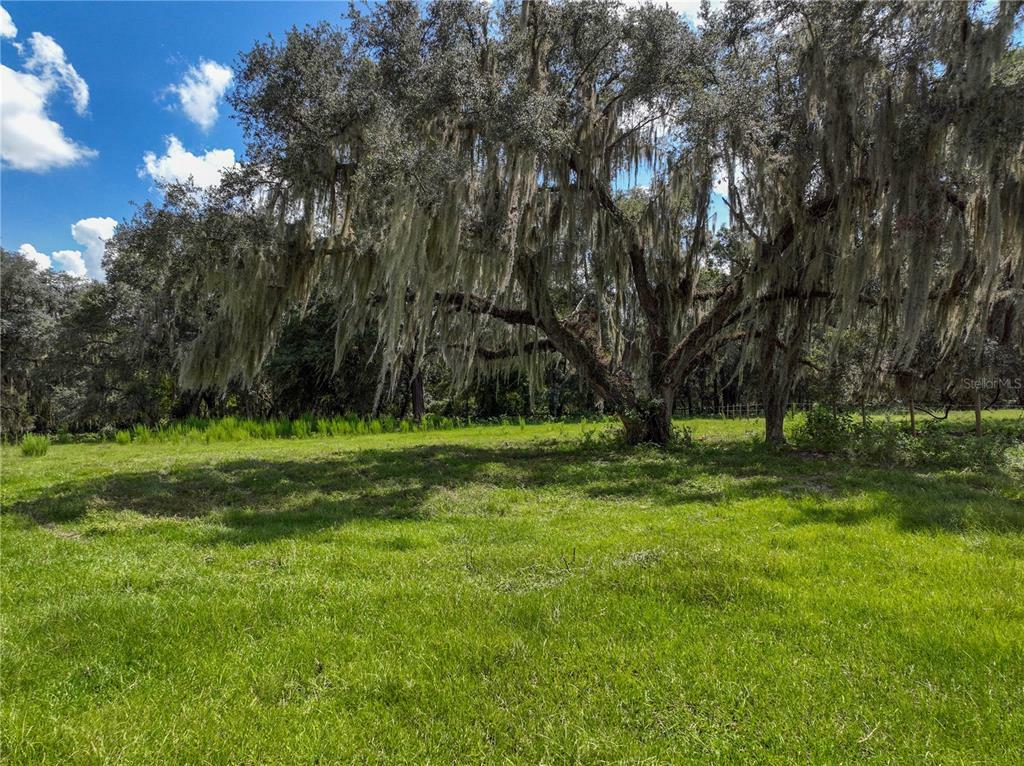 Property Photo:  136 Depot Road  FL 32640 