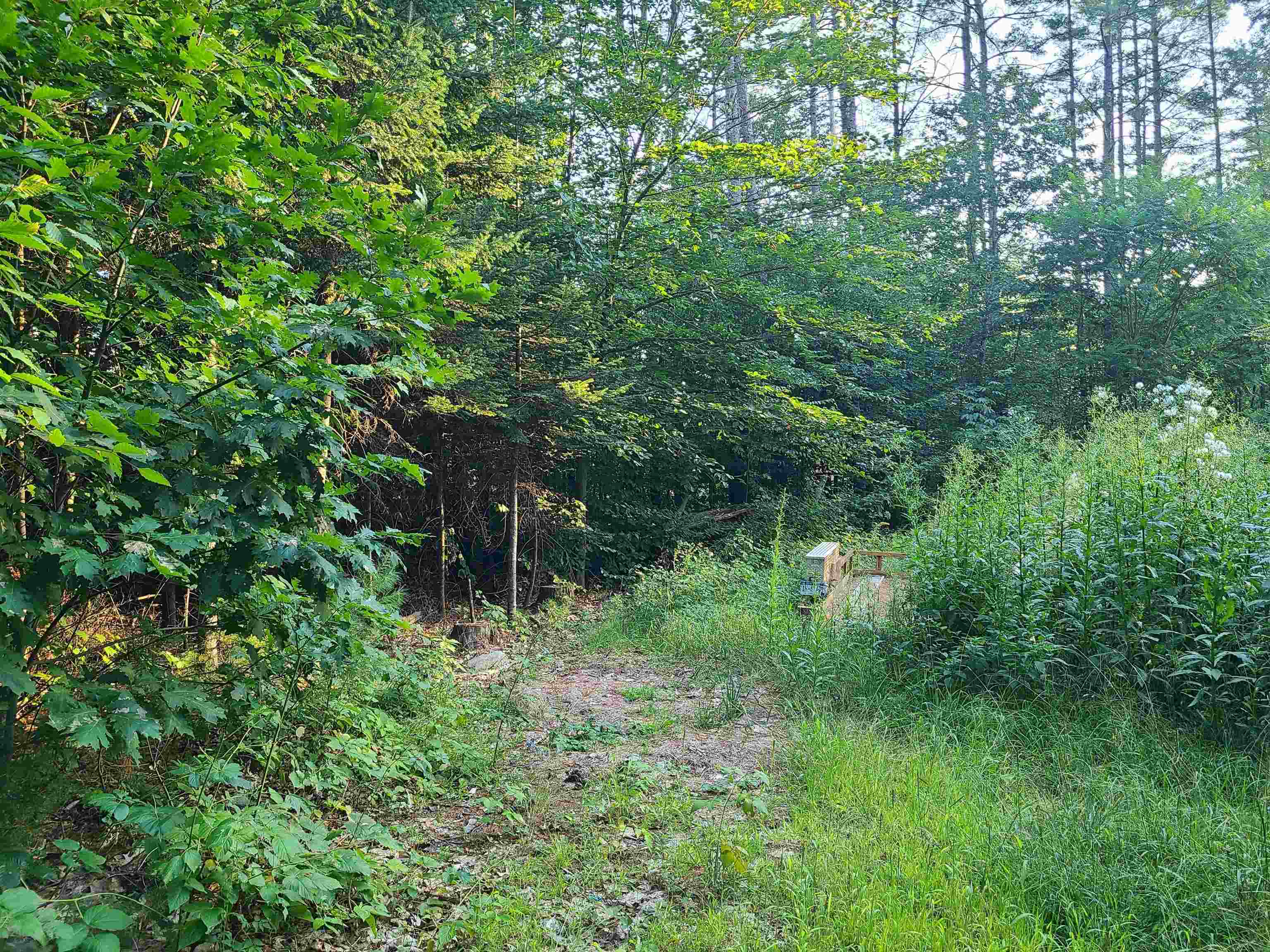 Property Photo:  2 Colton Road  NH 03285 